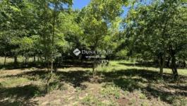 Eladó külterületi telek Kecskemét