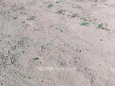 Eladó családi ház Újfehértó