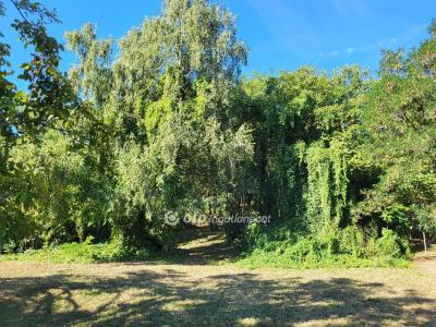 Eladó lakóövezeti telek Siófok