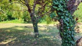 Eladó lakóövezeti telek Siófok