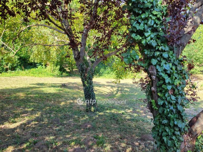 Eladó lakóövezeti telek Siófok