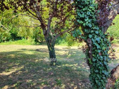 Eladó lakóövezeti telek Siófok