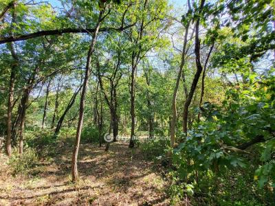 Eladó lakóövezeti telek Siófok