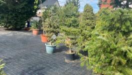 Eladó lakóövezeti telek Dunakeszi