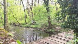 Eladó lakóövezeti telek Szentendre