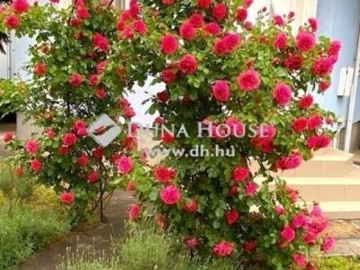 Eladó családi ház Maglód