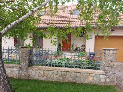 Eladó családi ház Szajk