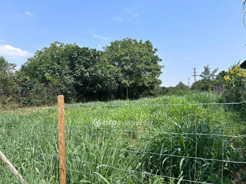 Eladó lakóövezeti telek Dömsöd