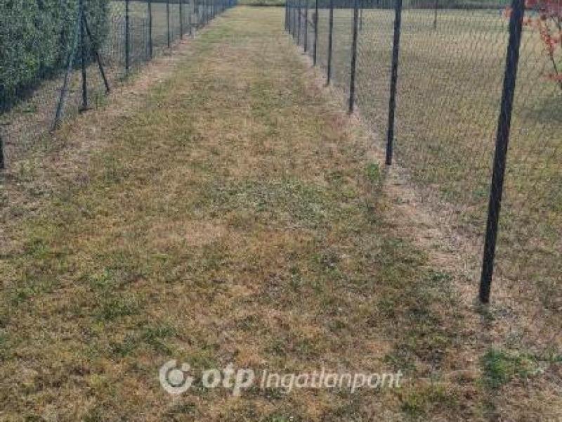 Eladó lakóövezeti telek Balatonszabadi