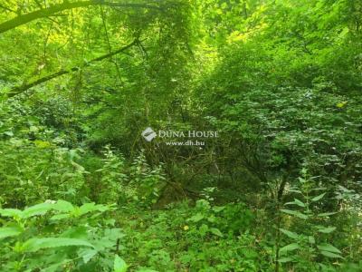Eladó külterületi telek Regenye