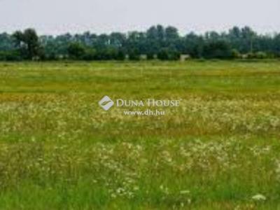 Eladó külterületi telek Regenye