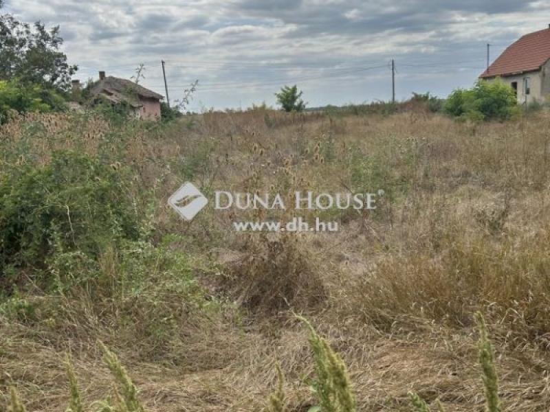 Eladó lakóövezeti telek Tiszaföldvár