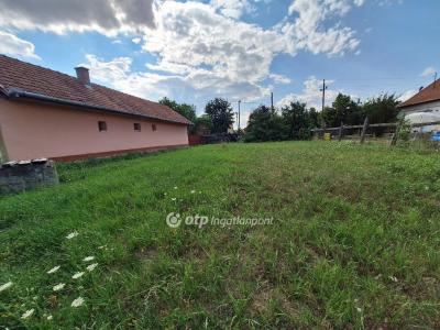 Eladó lakóövezeti telek Szeghalom