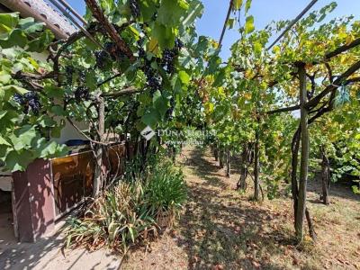 Eladó egyéb telek Mezőkomárom