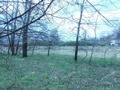 Eladó külterületi telek Kecskemét