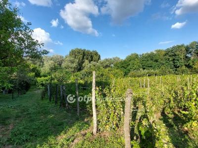 Eladó nyaraló Tiszakécske