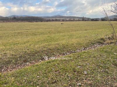 Eladó nyaraló Budapest