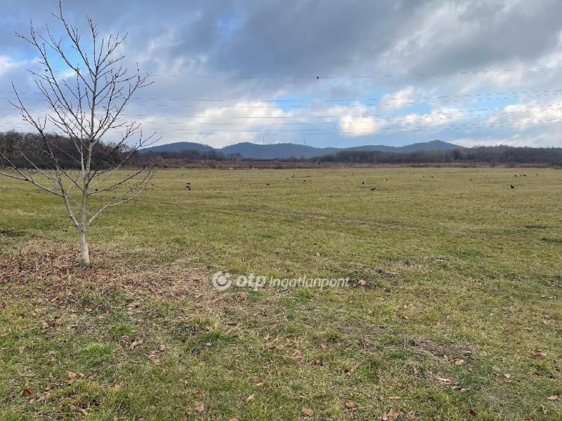 Eladó nyaraló Budapest