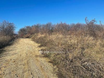 Eladó nyaraló Budapest