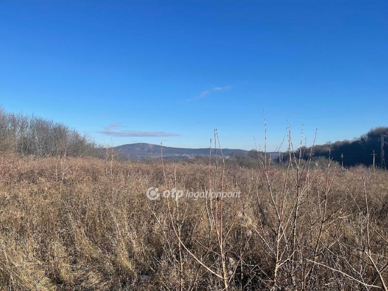 Eladó nyaraló Budapest