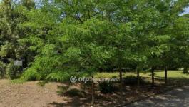 Eladó egyéb telek Budapest