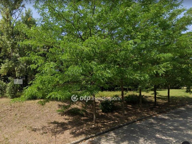 Eladó egyéb telek Budapest