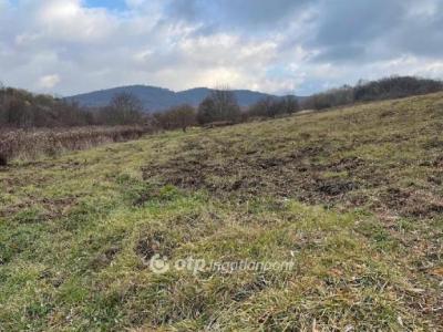 Eladó nyaraló Budapest