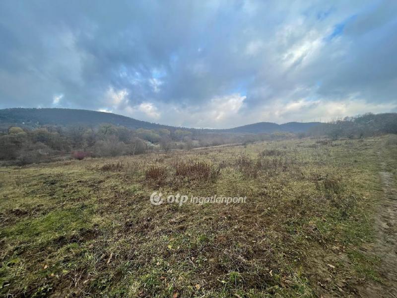 Eladó nyaraló Budapest