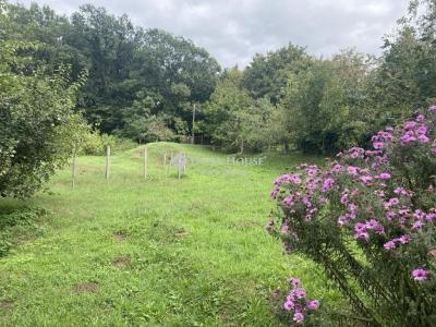 Eladó családi ház Piliscsaba