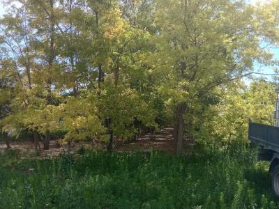 Eladó családi ház Adony