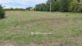 Eladó lakóövezeti telek Tiszakécske