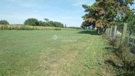 Eladó külterületi telek Balatonvilágos