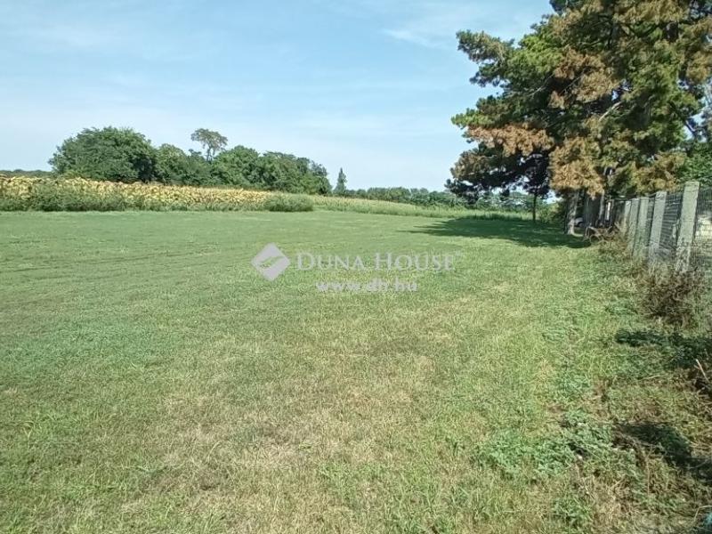 Eladó külterületi telek Balatonvilágos