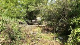 Eladó családi ház Budapest