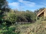 Eladó lakóövezeti telek Szabadszentkirály