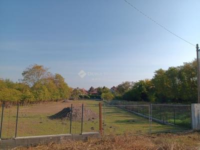 Eladó lakóövezeti telek Ráckeve