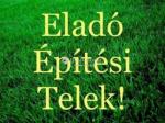 Eladó lakóövezeti telek Ráckeve