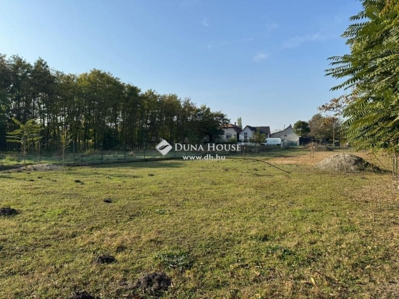 Eladó lakóövezeti telek Ráckeve