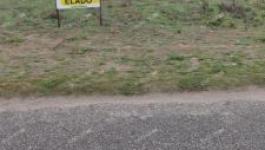 Eladó külterületi telek Ágasegyháza