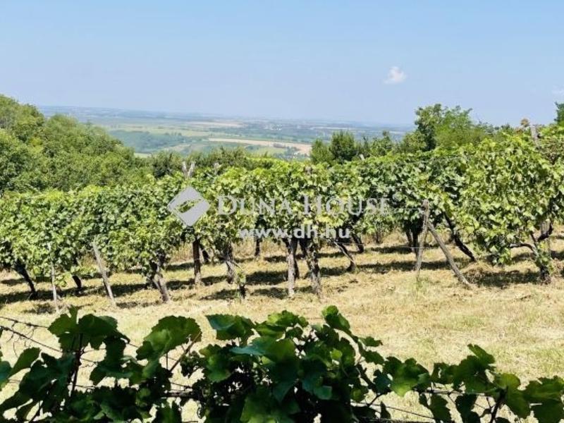 Eladó külterületi telek Szekszárd