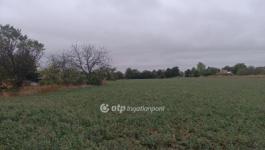 Eladó lakóövezeti telek Iváncsa