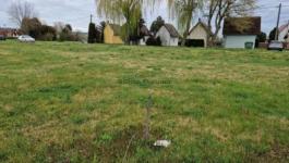 Eladó lakóövezeti telek Gyékényes