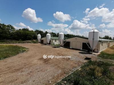 Eladó ipari terület Szentes