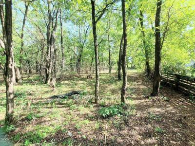 Eladó családi ház Kecskemét