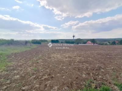 Eladó külterületi telek Mány