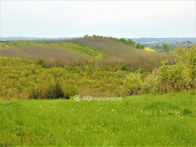 Eladó egyéb telek Bocfölde