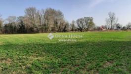 Eladó üdülőövezeti telek Dömsöd