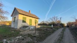 Eladó mezőgazdasági Csongrád