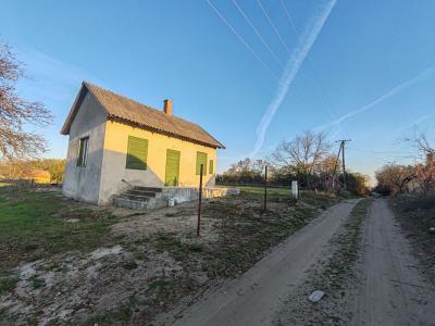 Eladó mezőgazdasági Csongrád