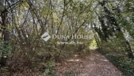 Eladó üdülőövezeti telek Dömsöd